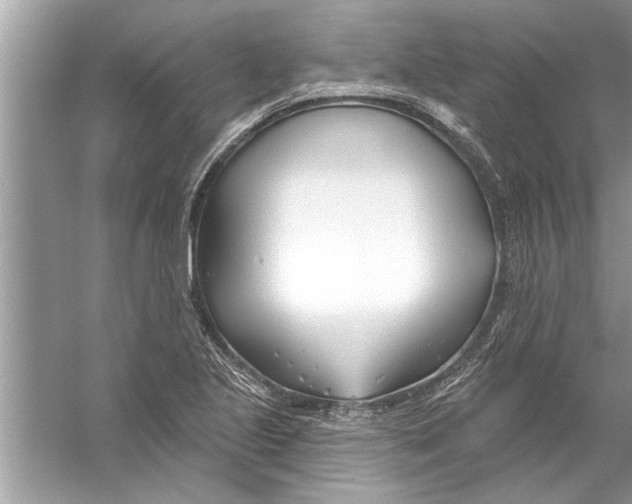 X0000056011221200509162335