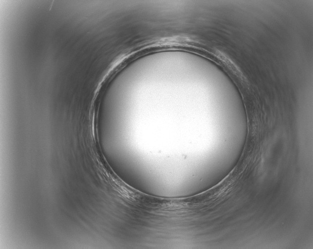 X0000056011224200509162335