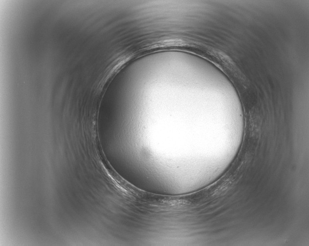 X0000056011225200509162335