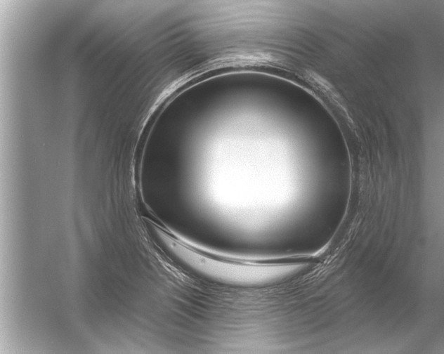 X0000056011226200509162335