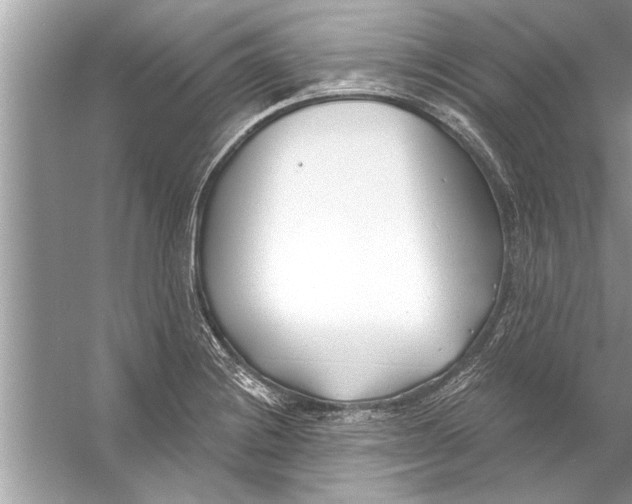 X0000056011228200509162335