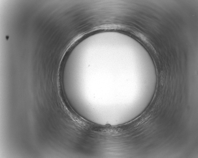 X0000056011229200509162335