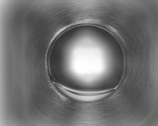 X0000056011230200509162335