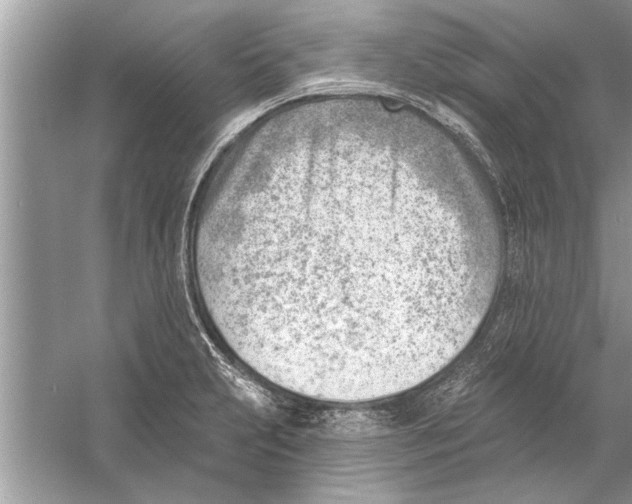 X0000056011231200509162335