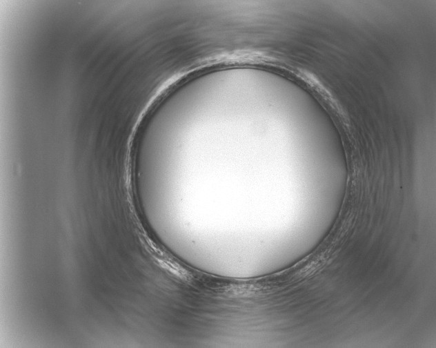 X0000056011232200509162335