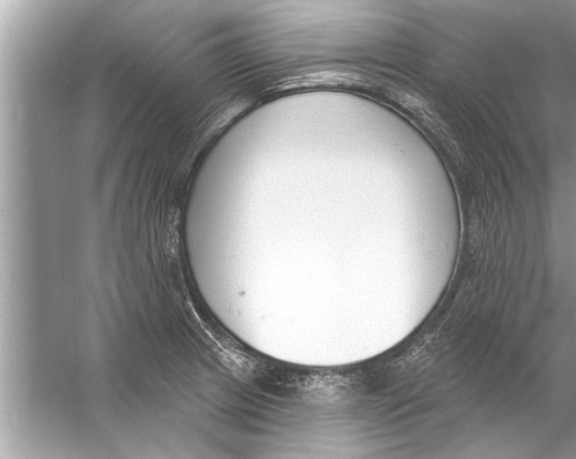 X0000056011233200509162335