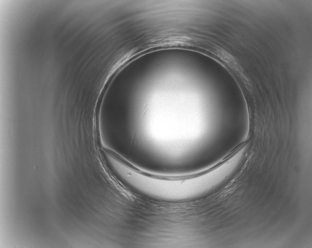 X0000056011234200509162335