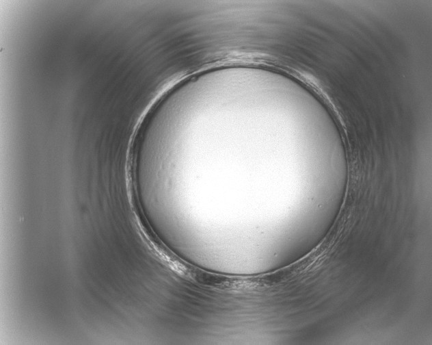 X0000056011235200509162335