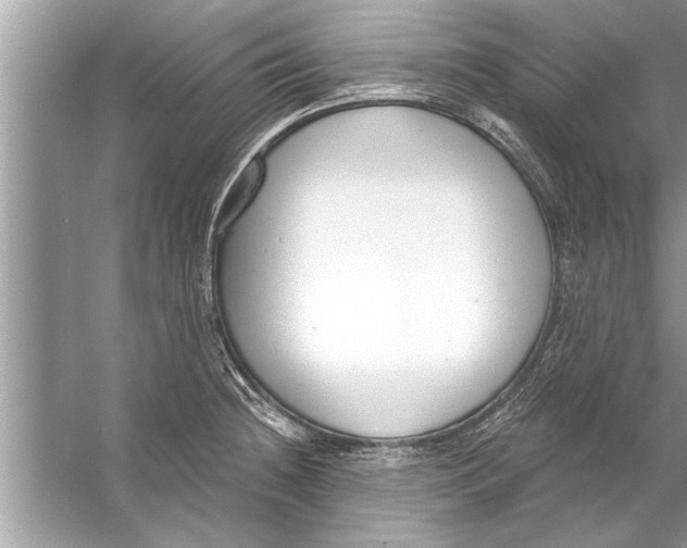 X0000056011236200509162335