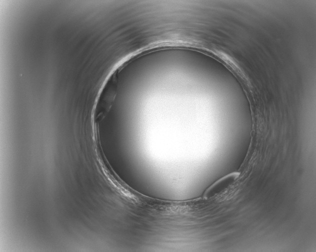 X0000056011238200509162335