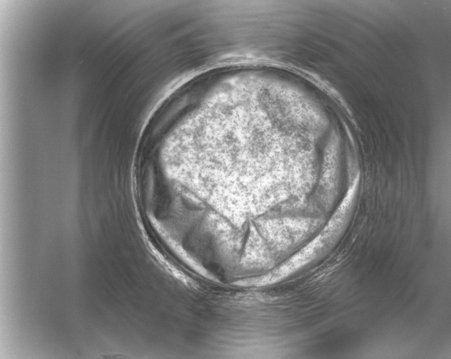 X0000056011239200509162335