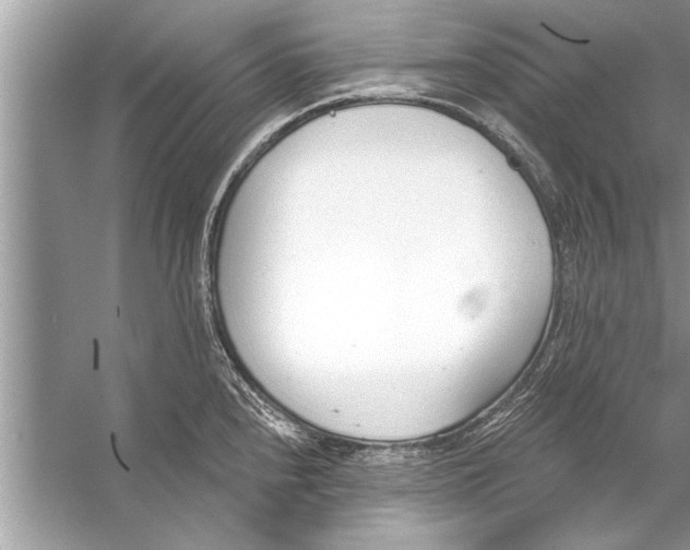 X0000056011240200509162335