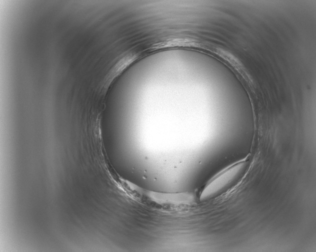 X0000056011241200509162336