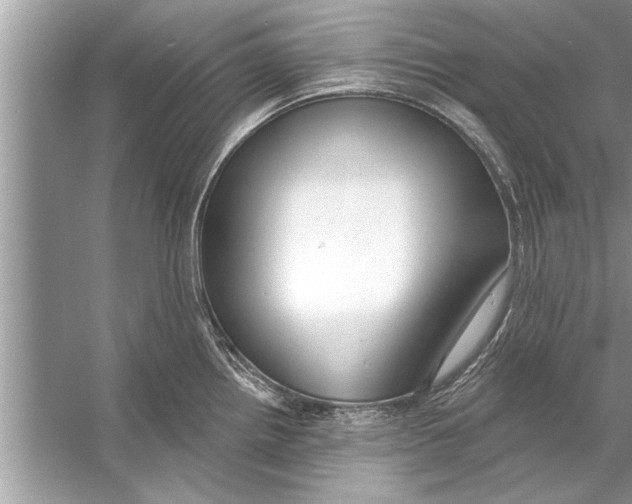 X0000056011242200509162336