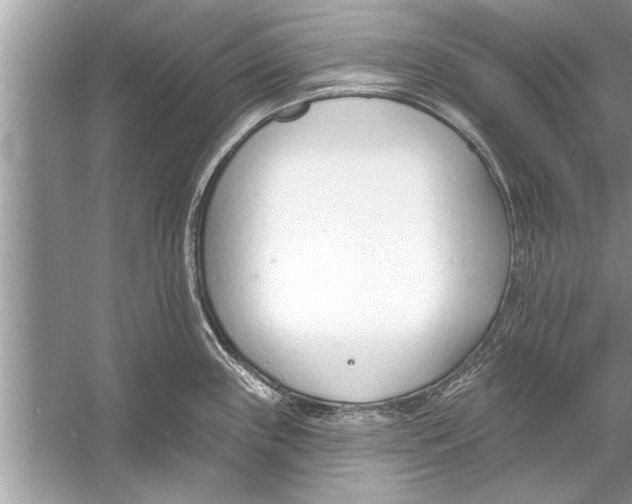 X0000056011243200509162336