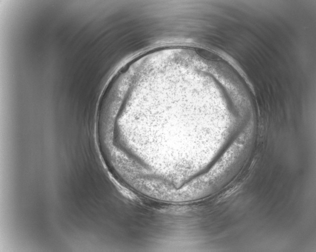 X0000056011245200509162336