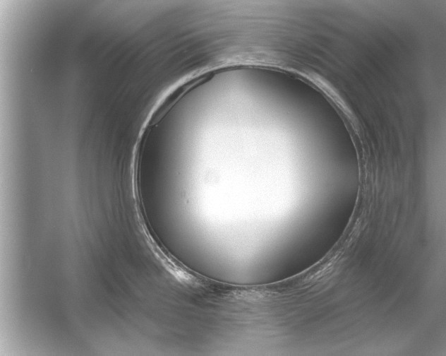 X0000056011246200509162336