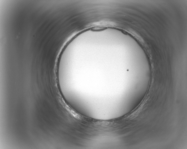 X0000056011248200509162336