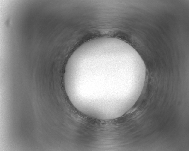 X0000056011249200509162335