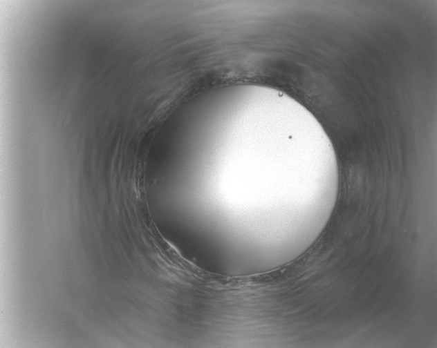 X0000056011250200509162335