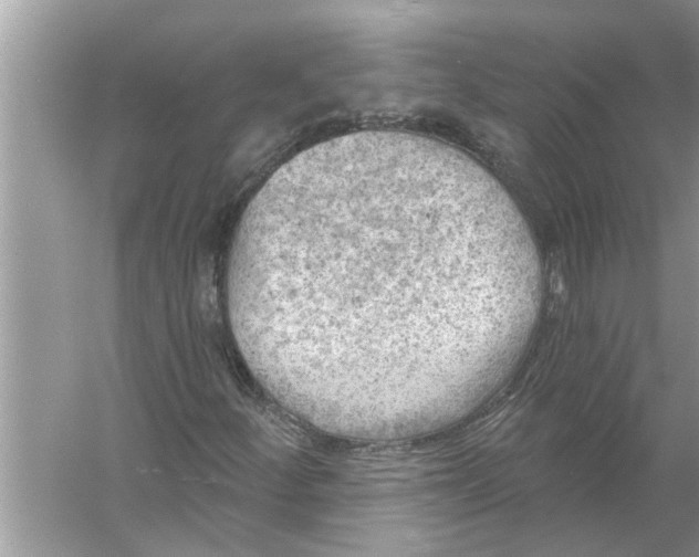 X0000056011252200509162335