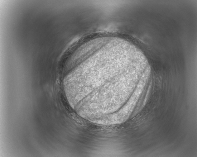 X0000056011254200509162335