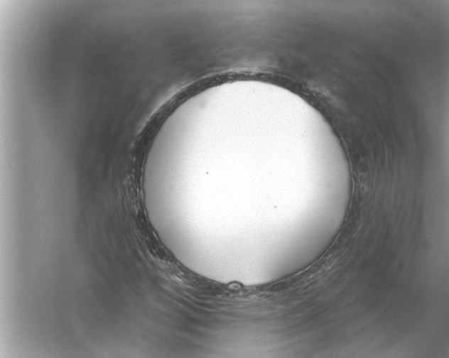 X0000056011256200509162335