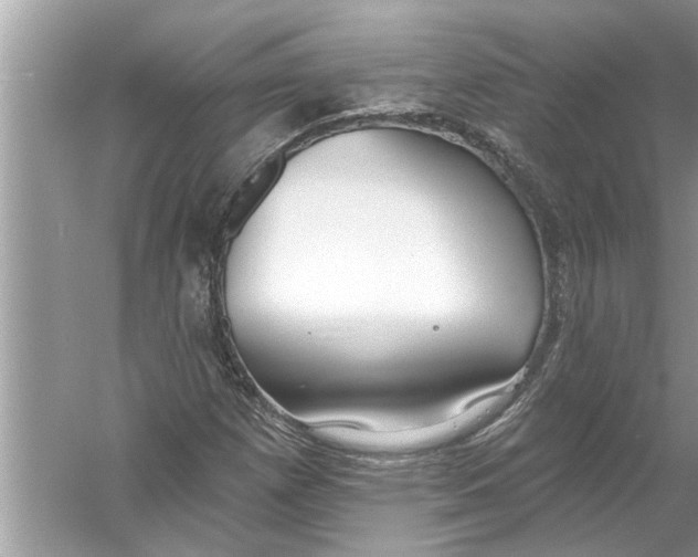 X0000056011257200509162335