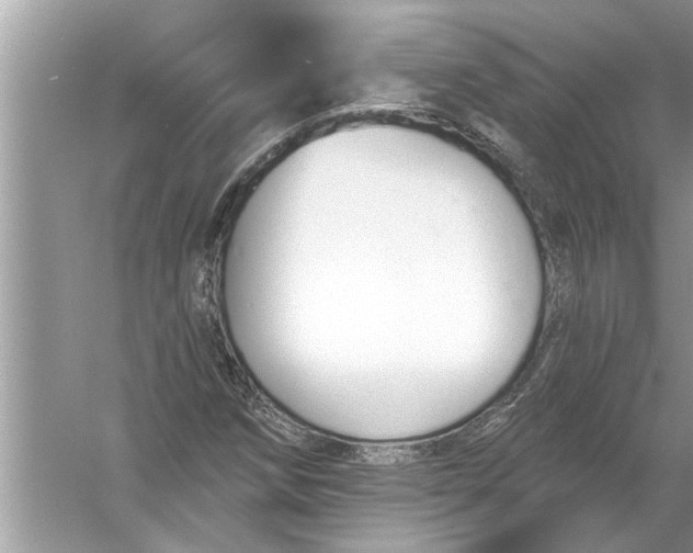 X0000056011258200509162335