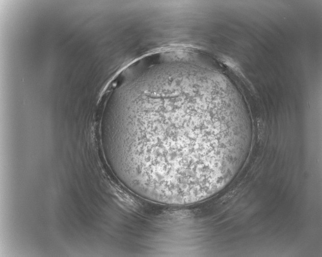 X0000056011260200509162335