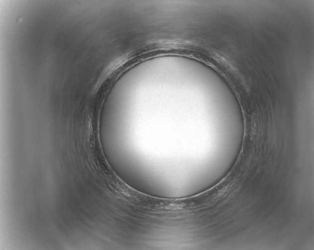 X0000056011261200509162335