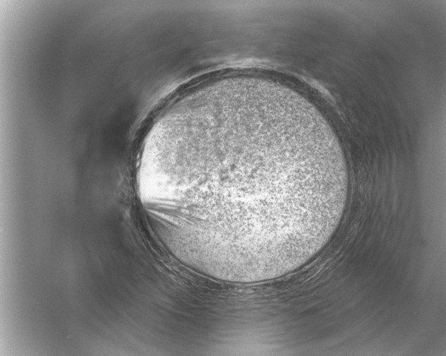 X0000056011263200509162335