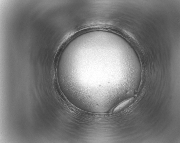 X0000056011267200509162334