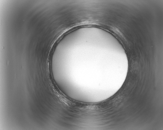 X0000056011268200509162334