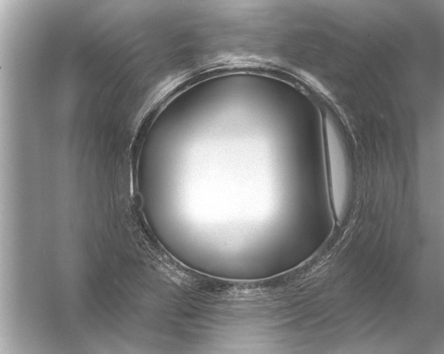 X0000056011269200509162334