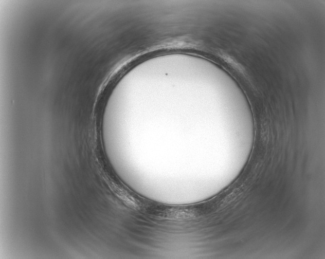 X0000056011270200509162334