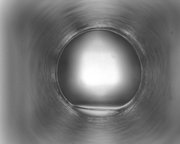 X0000056011273200509162334