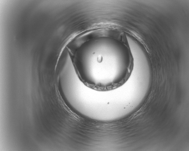 X0000056011275200509162334