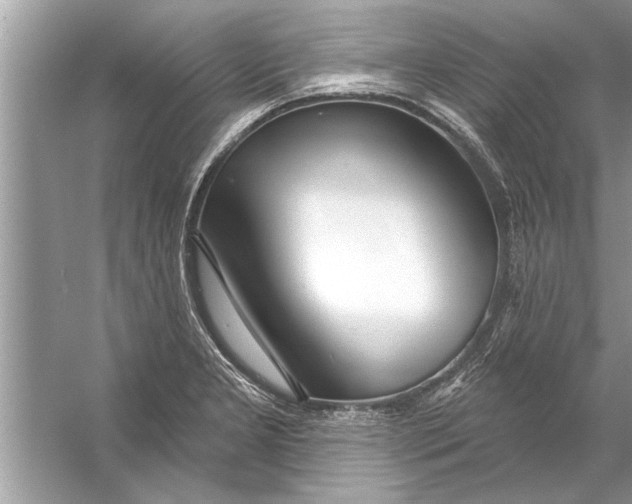 X0000056011277200509162334