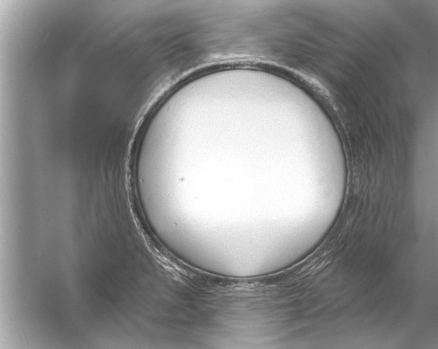 X0000056011279200509162334