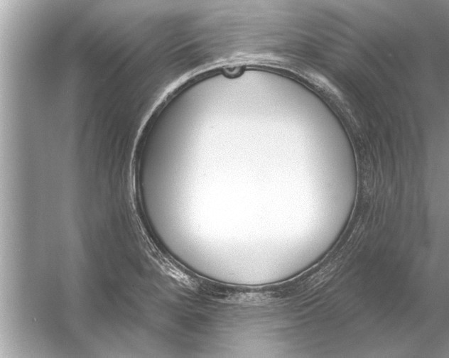 X0000056011280200509162334