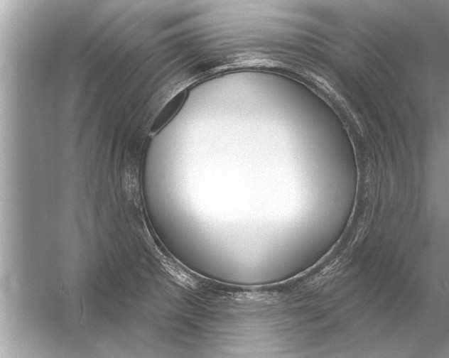 X0000056011281200509162334