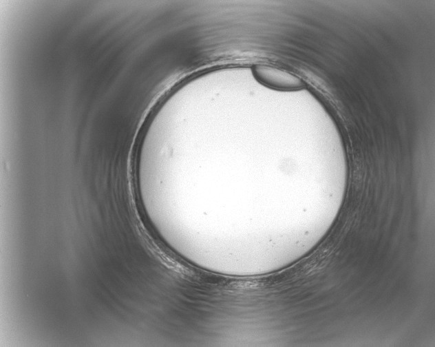 X0000056011283200509162334