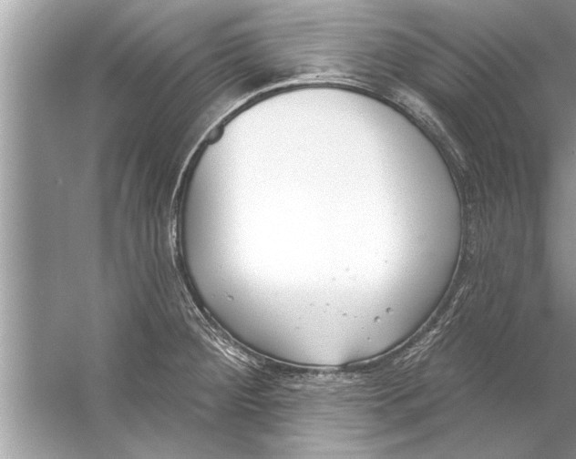 X0000056011284200509162334