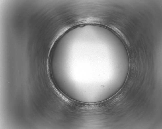 X0000056011285200509162334