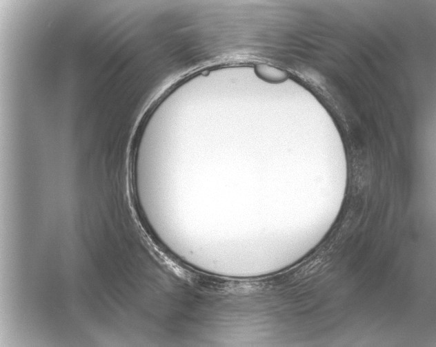 X0000056011286200509162334