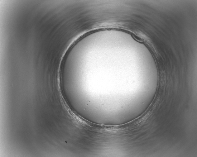 X0000056011288200509162334