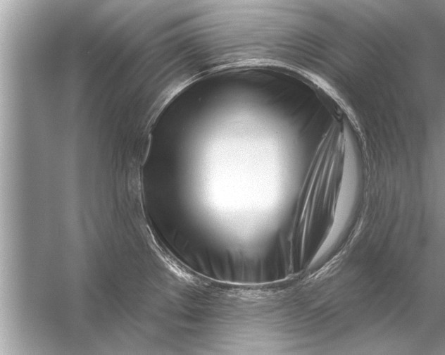 X0000056011289200509162334