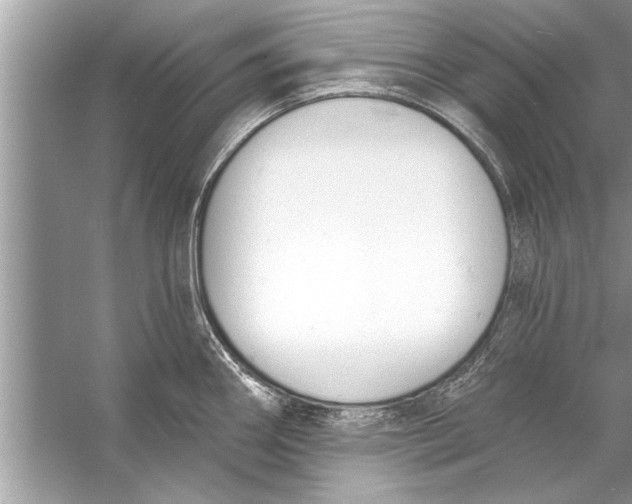 X0000056011290200509162334