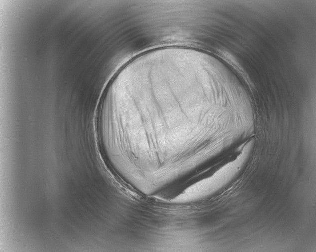 X0000056011291200509162334